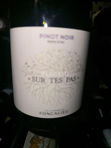 Languedoc y Rosellón País de Oc Les Vignobles Foncalieu Sur Tes Pas 2023