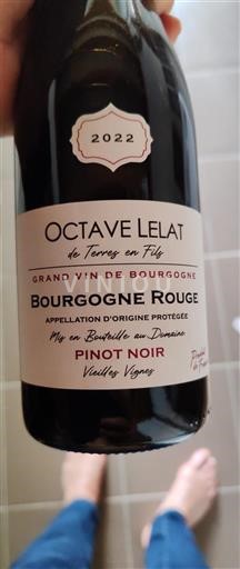 Borgoña Octave Lelat Vieilles Vignes 2022