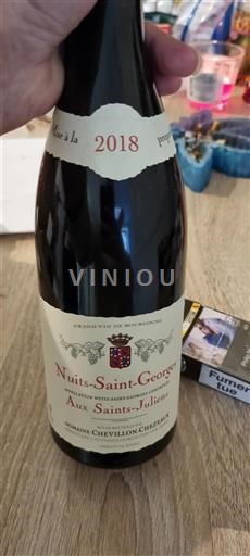 Bourgogne Nuits-saint-georges Domaine Chevillon-Chezeaux Aux Saints-Juliens 2018