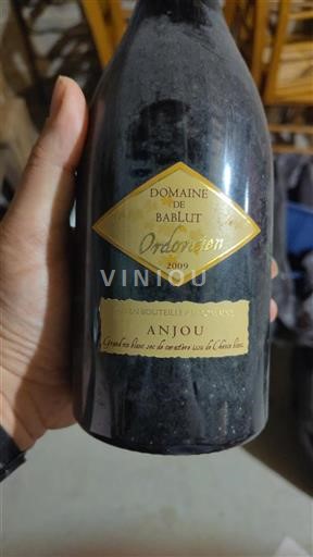 Vallée de la Loire Anjou Domaine Bablut Ordovicien 2009