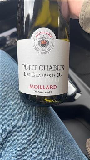 Borgogna Petit-chablis Moillard Les Grappes d'Or Senza annata