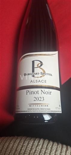 Alsace Burghart-Spettel 2023