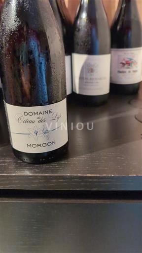 Beaujolais Morgon Domaine Coteau des Lys 2022