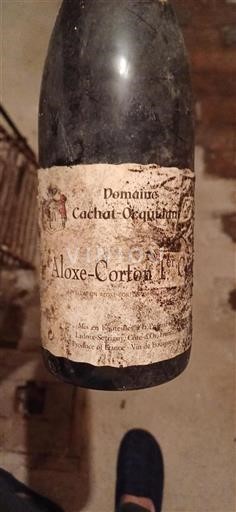 Bourgondië Aloxe-Corton Premier Cru Cachat Ocquidant 2007