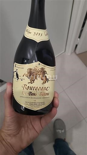 Bourgogne Philippe Leclerc Les Bons Bâtons 2015