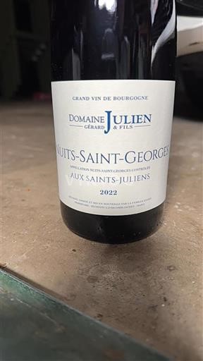 Borgogna Nuits-Saint-Georges Domaine Gérard Julien & Fils Aux Saints-Juliens 2022