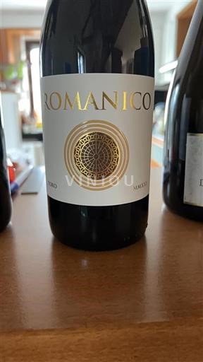 Castiglia e León Toro Romanico 2022