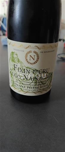 Burgund Nicht spezifiziert Premier Cru Domaine Pierre Gelin Clos Napoléon 2018