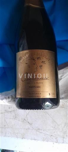 Loire-dalen Ikke specificeret Cocteaux Bulles de Fleury 2015