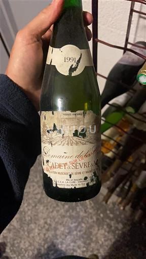 Dolina Loare Muscadet-sèvre-et-maine Domaine La Cure 1991