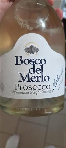 Venetien Prosecco Bosco del Merlo Millesimato Brut Ohne Jahrgang