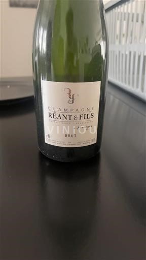 Champanhe Réant & Fils Brut Não Sazonado
