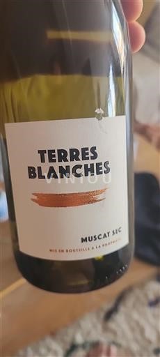 Valle della Loira Muscadet Terres Blanches Muscat Sec 2024
