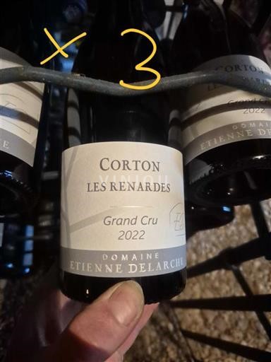 Bourgogne Corton Grand Cru Domaine Étienne Delarche Les Renardes 2022