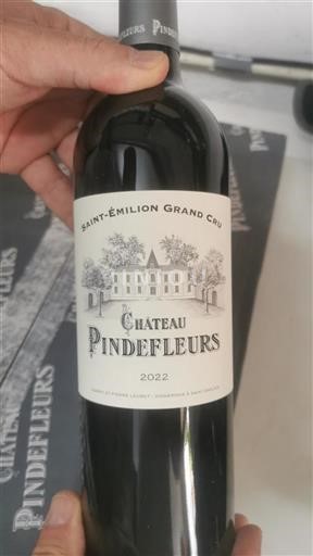 Bordeaux Saint-Émilion Grand Cru Château Pindefleurs 2022