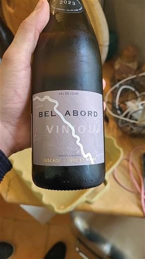 Valle della Loira Muscadet Sèvre et Maine Famille Lieubeau Bel Abord 2023
