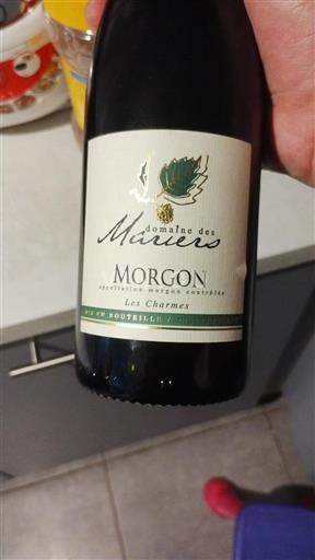 Beaujolais Morgon Domaine Des Marrans Les Charmes 2023