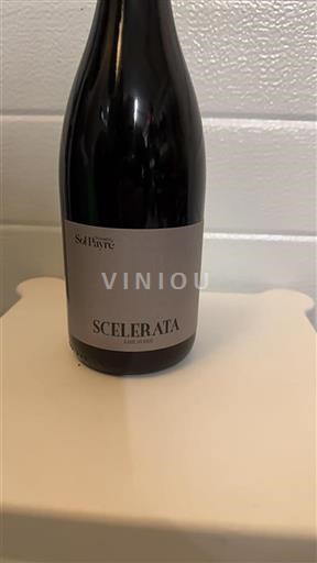 Languedoque Não especificado Domaine Sol Payré Scelerata 2021
