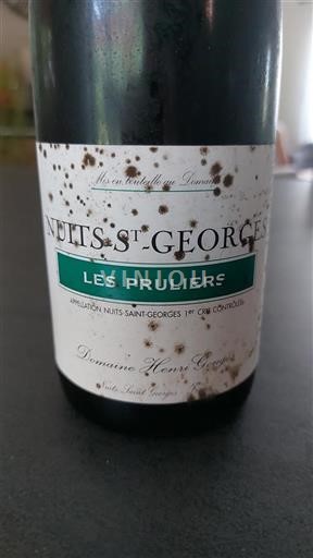 Borgogna Nuits-Saint-Georges Premier Cru Domaine Henri Gouges Les Pruliers 2009