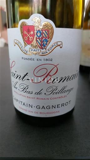 Bourgogne Saint-Romain Capitain-Gagnerot Au Bas de Poillange 2020