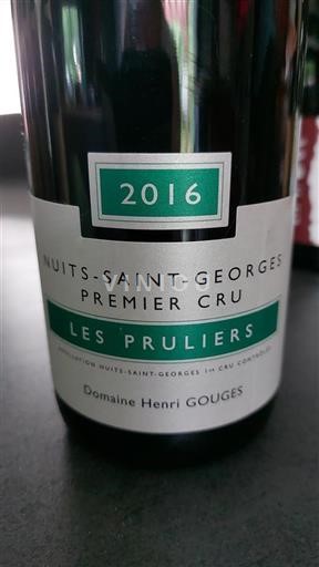 Borgogna Nuits-Saint-Georges Premier Cru Domaine Henri Gouges Les Pruliers 2016