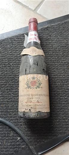 Bourgogne Bourgogne-passetoutgrain Alain Hudelot-Noëllat 1977