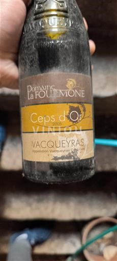 Rhône-dalen Vacqueyras Domaine La Fourmone Ceps d'Or 2005