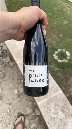 Linguadoca e Rossiglione Côtes de Thongue Domaine La Petite Pause 2016