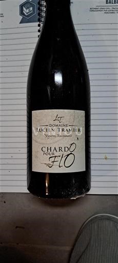 Vale do Loire Não especificado Domaine Lucien Tramier Chardo pour Flo Não Sazonado