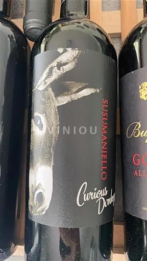 Puglia Non specificato Curious Donkey 2019