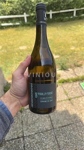 Burgundi Pouilly-fuissé Domaine Savy Sylvain Descombes 2019