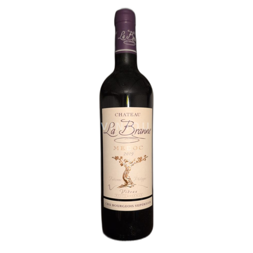 Bordeaux Médoc Château La Branne Cru bourgeois superieur 2019