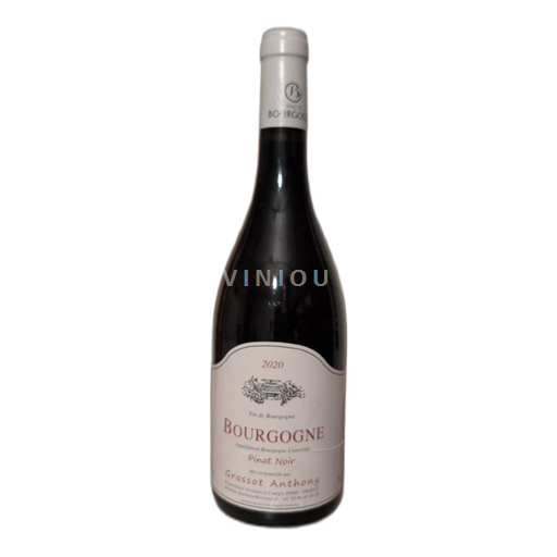 Burgundi Bourgogne Domaine Grossot Pinot noir 2020