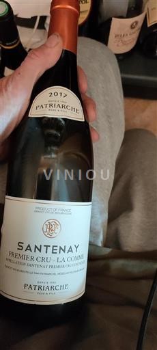 Borgogna Santenay Premier Cru Patriarche La Comme 2017