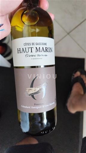 Sydvestfrankrig Côtes de Gascogne Haut Marin Fossiles Ikke årgangsbestemt