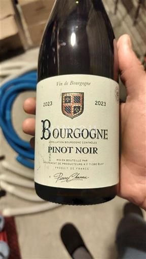 Borgoña Pierre Charau 2023