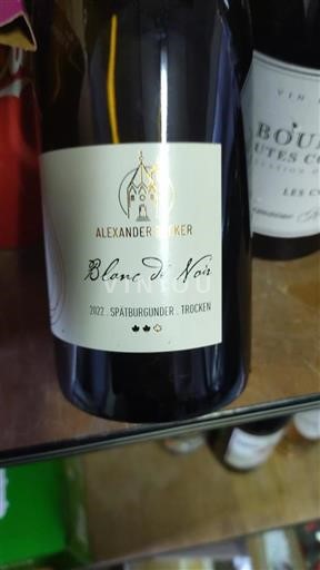 Rheinhessen Alexander Becker Blanc de Noir 2022