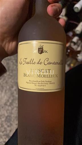 Provenza Non specificato La Treille de Cantarelle 2003