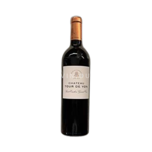 Bordeaux Saint-Émilion Grand Cru Grand Cru Château Tour de Yon 2020