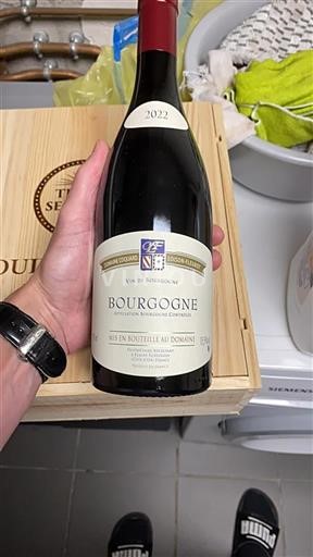 Bourgogne Domaine Coquard Loison-Fleurot 2022