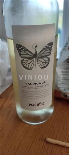 Linguadoca e Rossiglione Paese d'Oc Sauvignon 2023
