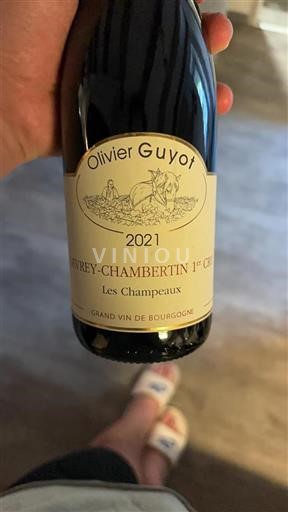 Bourgogne Gevrey-chambertin Premier Cru Olivier Guyot Les Champeaux 2021