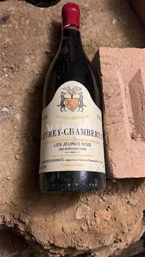 Borgogna Gevrey-Chambertin Geantet-Pansiot Les Jeunes Rois 1998