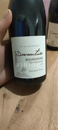 Burgundsko Nespecifikováno Domaine Davanture Clos Saint-Pierre 2023