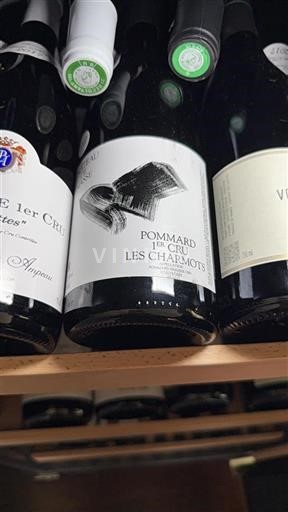 Borgogna Pommard Premier Cru Château Masse Les Charmots 2022