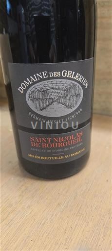 Valle della Loira Saint-Nicolas-De-Bourgueil Domaine Des Geleriés Senza annata