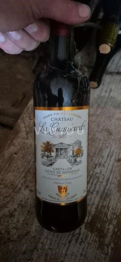 Burdeos Castillon-costas-de-burdeos Château La Gasparde 2013