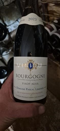 Burgund Domaine Pascal Lémonde 2022