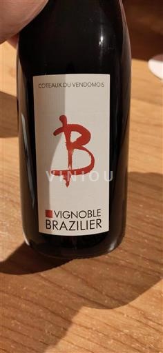 Loiretal Coteaux du Vendômois Vignoble Brazilier Ohne Jahrgang