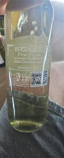 Véneto Delle Venezie Speranze 2024